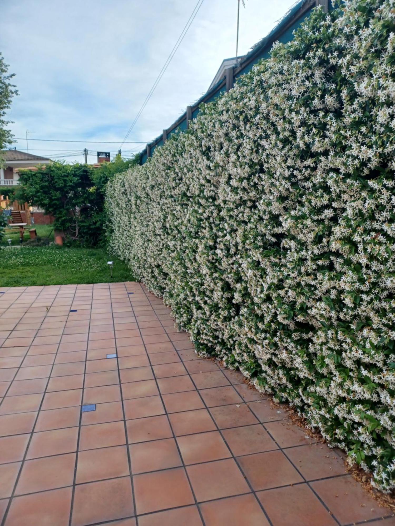 Villa Piscina De Sal Barbacoa Wifi, Parking Gratis, 3 Min Pga Casa El Roble Girona Esterno foto
